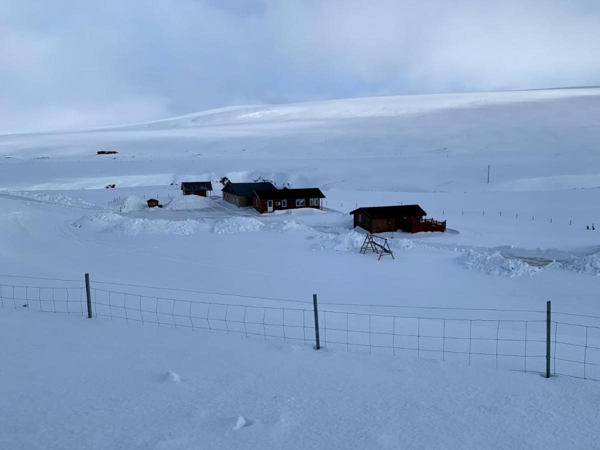 Sireksstadir Farm Holiday Vopnafjorthur Eksteriør billede