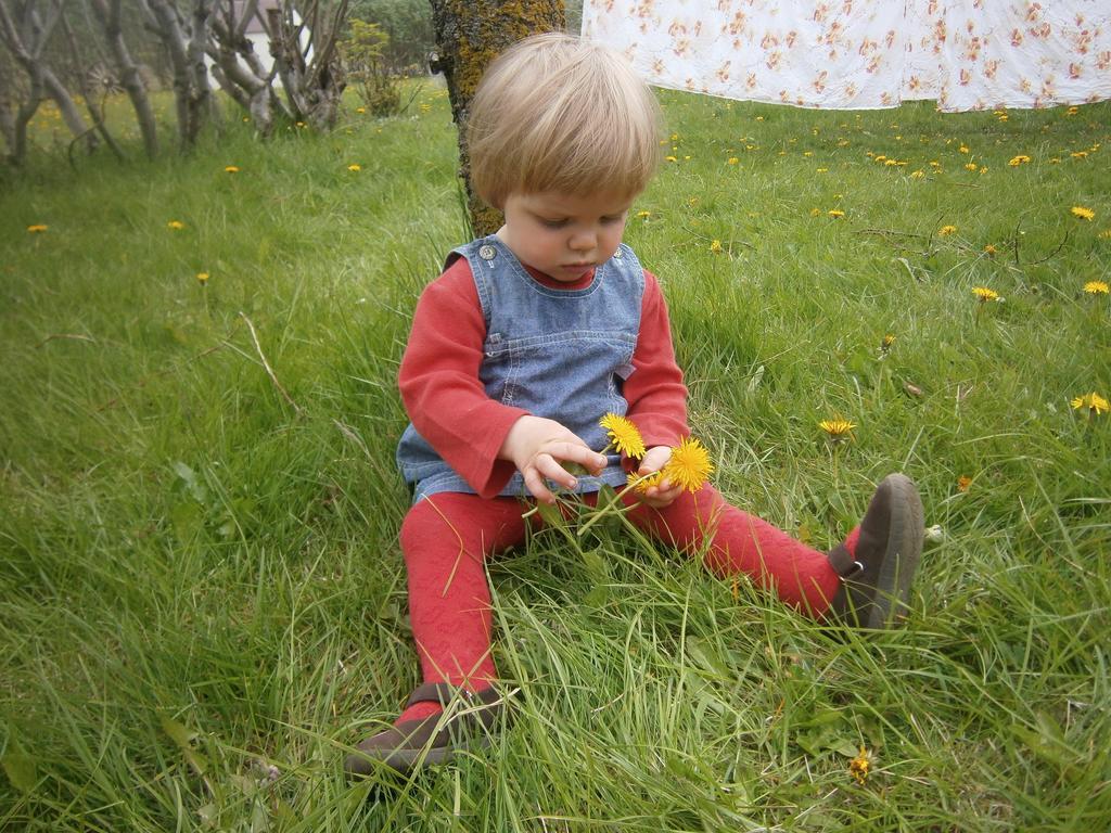 Sireksstadir Farm Holiday Vopnafjorthur Eksteriør billede
